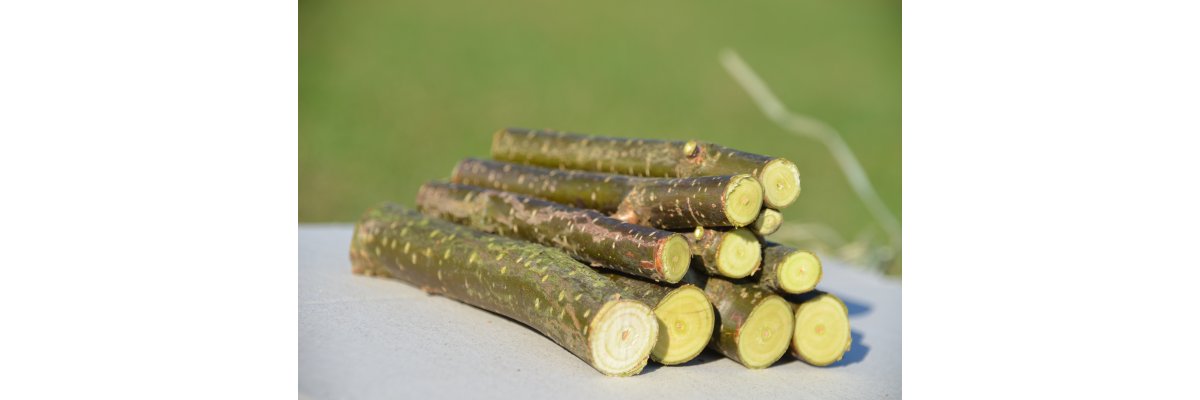 Knabberhölzer sind wieder vorrätig - Knabberhölzer für Kaninchen, Meerschweinchen und Co.