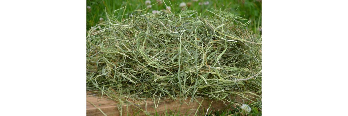 Neue Heuqualität seit Juni 2023 - 