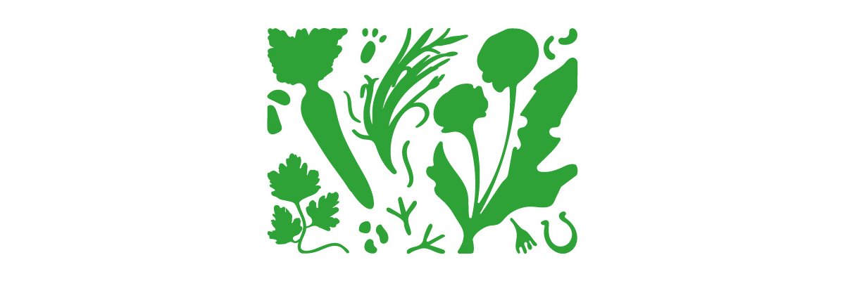 Neuerungen in unserem Onlineshop - Neuerungen in unserem Onlineshop