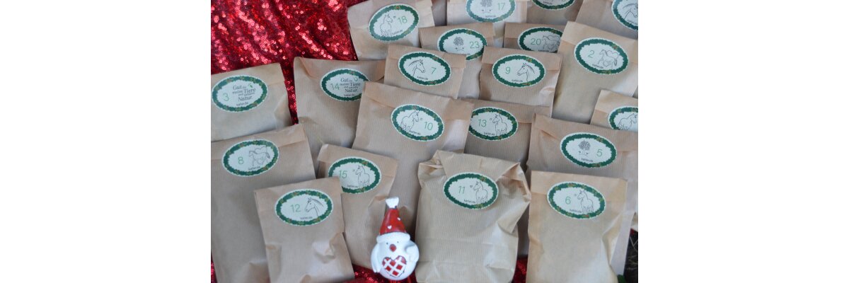 Adventskalender für Pferde &amp; Ponys - Adventskalender für Pferde &amp; Ponys | KaTier