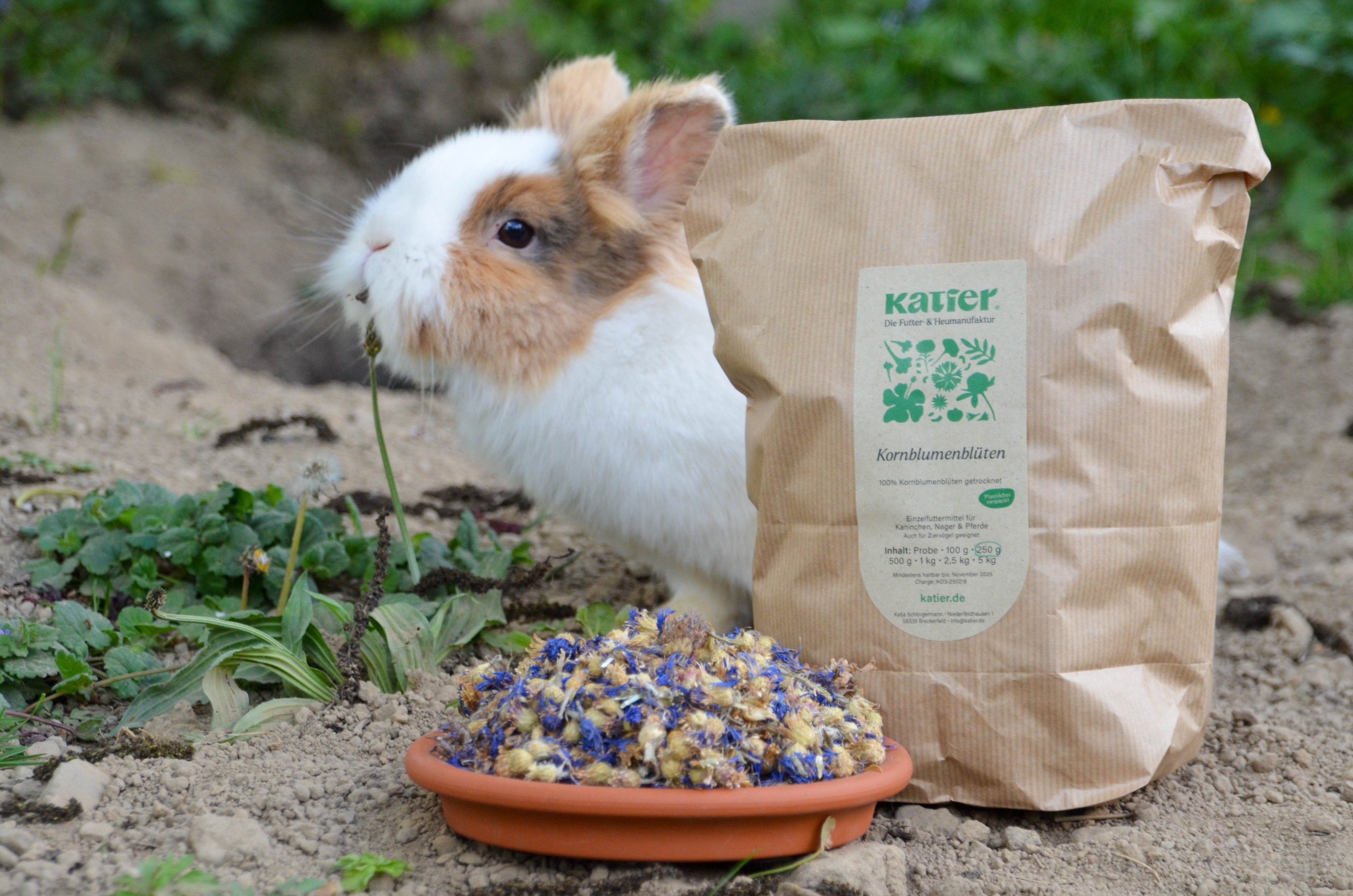 Kaninchen mit Kornblumen