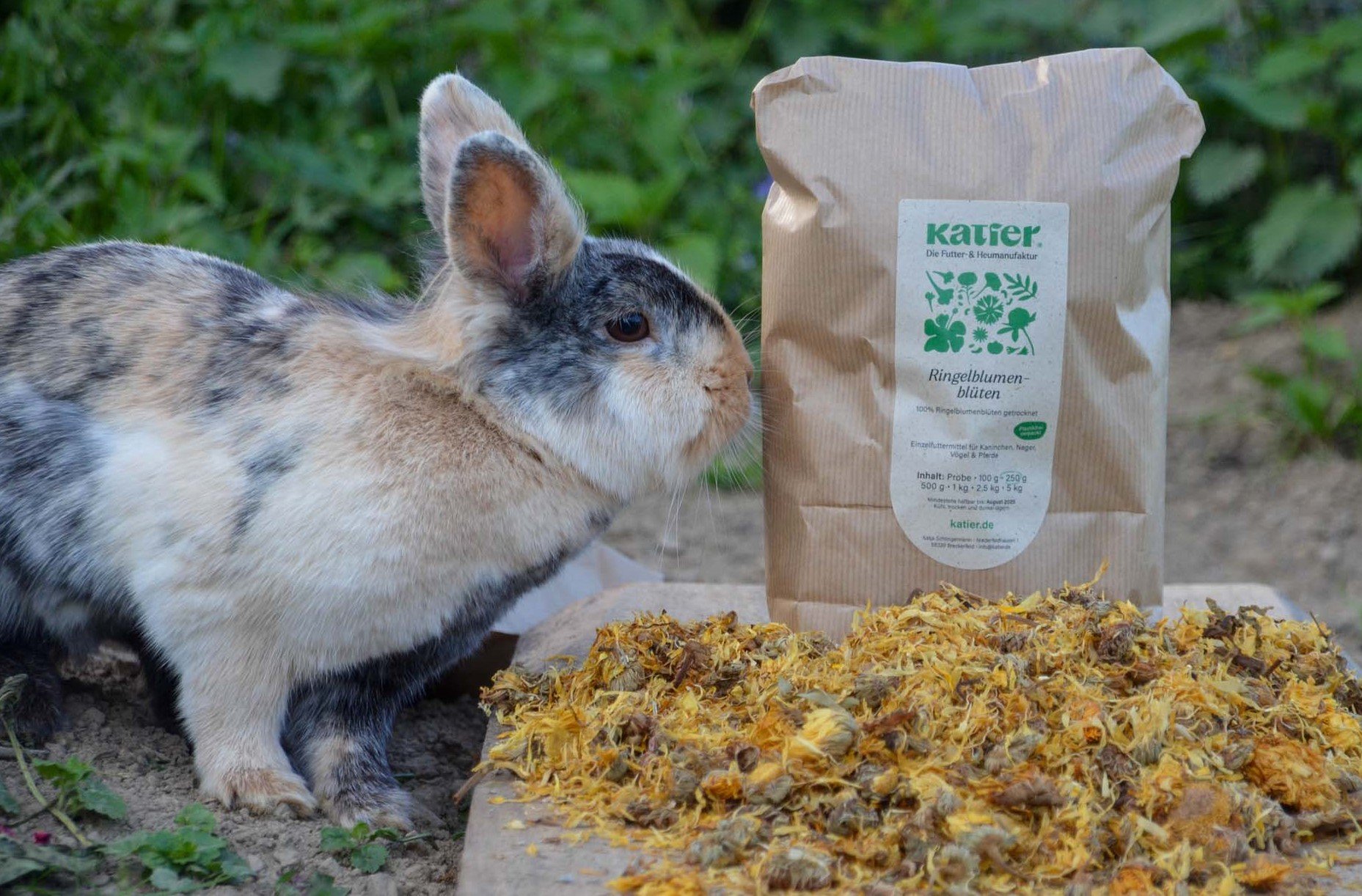 Kaninchen an den Ringelblumenblüten