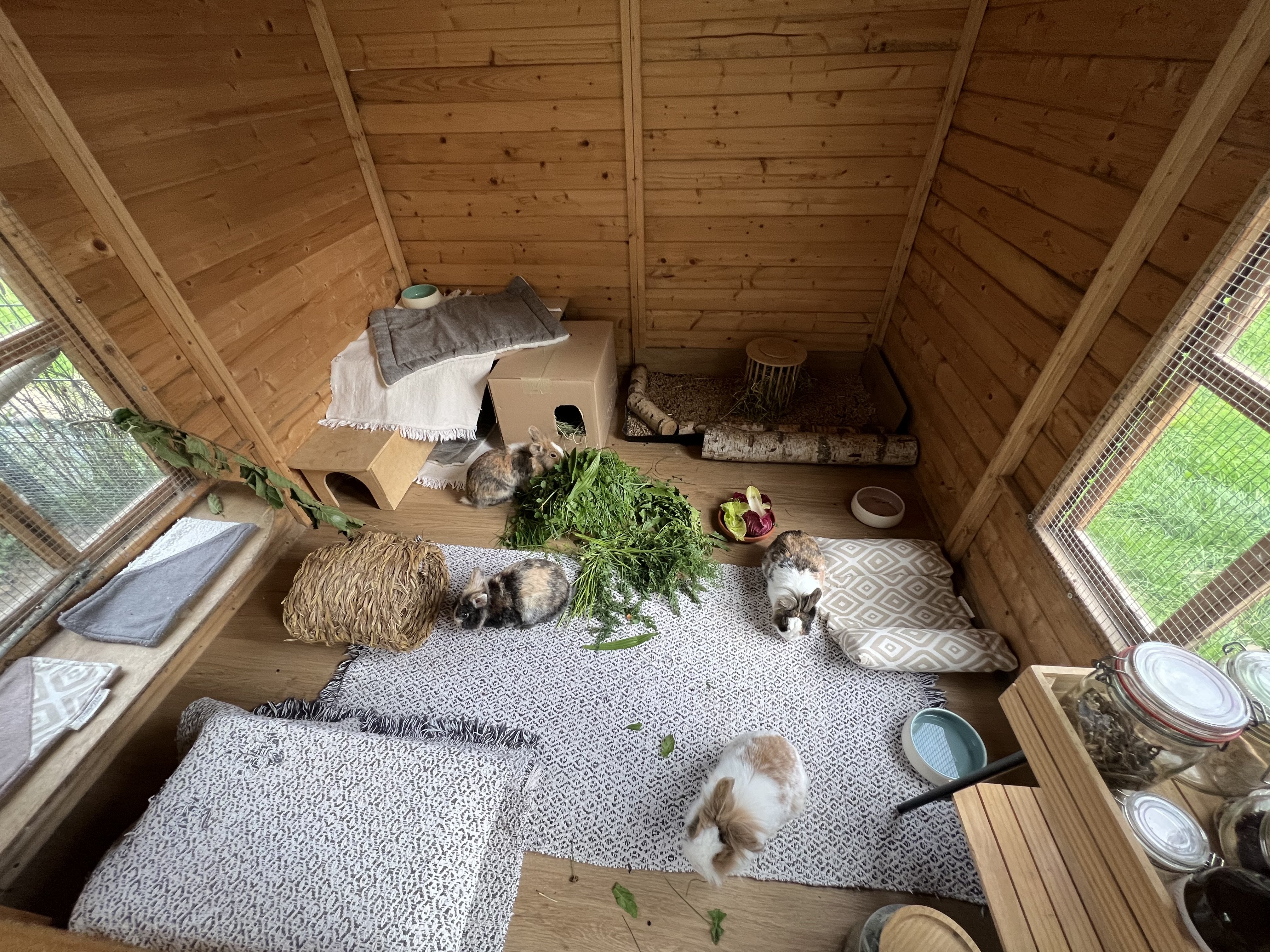 Großes Gartenhaus mit unseren vier Kaninchen