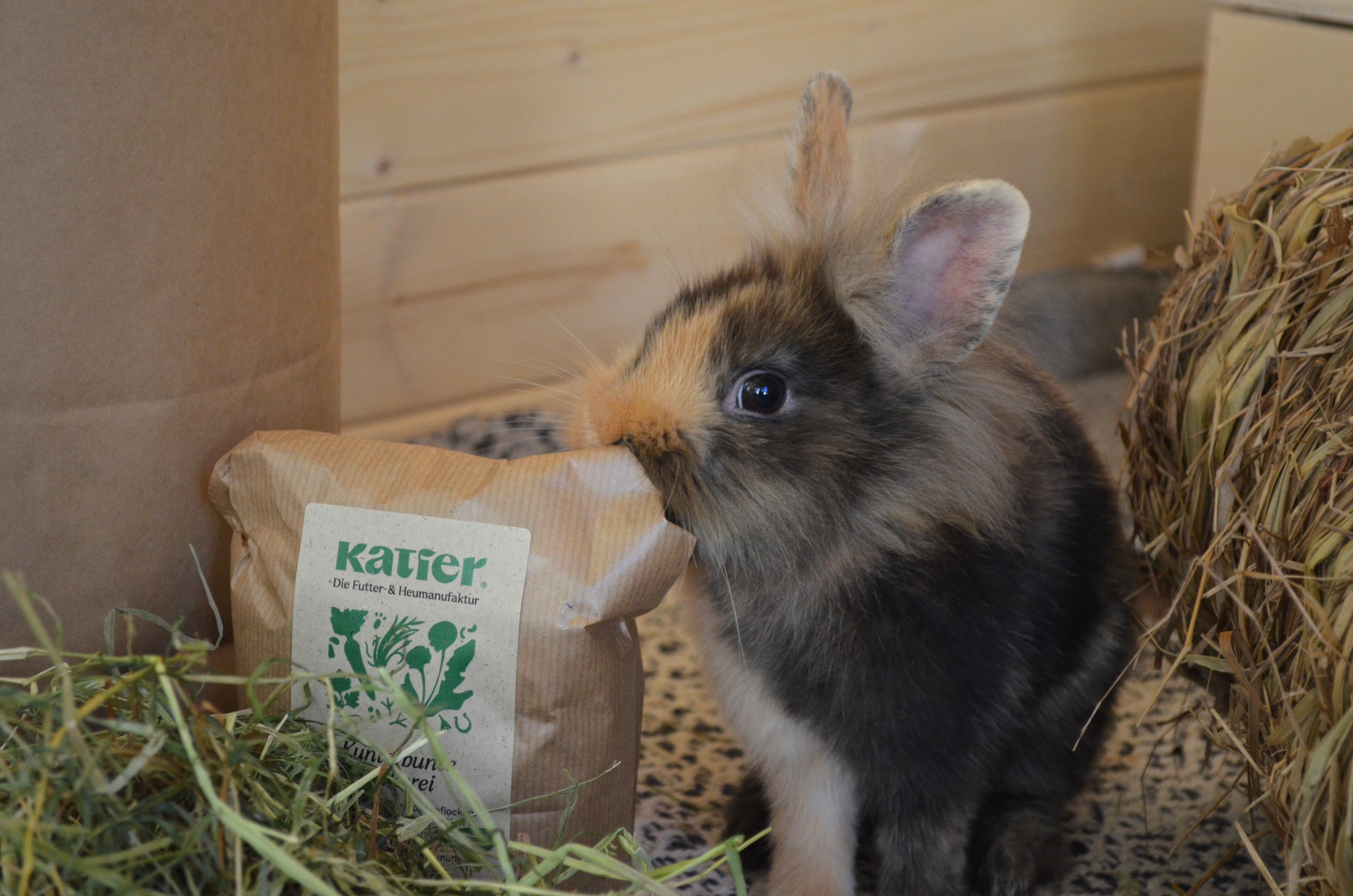 Unser Heu und unsere Kaninchen