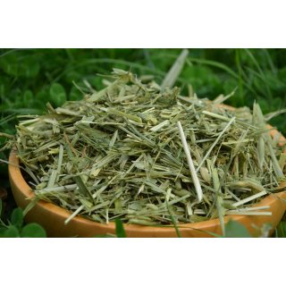 Grüner Hafer
