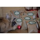 Adventskalender Kaninchen & Nager *versandkostenfrei*