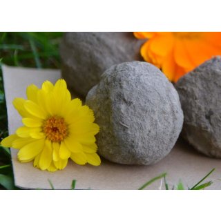 Seedballs