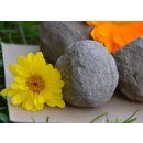 Seedballs