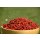 Paprika Würfel