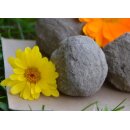 Ein Seedball für unsere Natur  :-)
