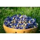 Kornblumenblüten blau