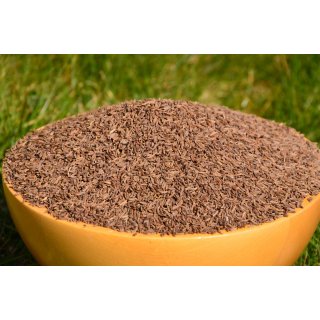 Kümmel