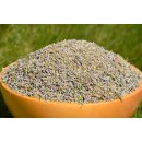 Lavendel