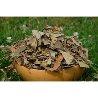 Ginkgoblätter
