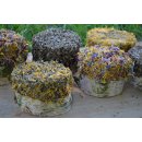 Knabberholz- Torte mit Topping