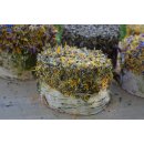 Knabberholz- Torte mit Topping
