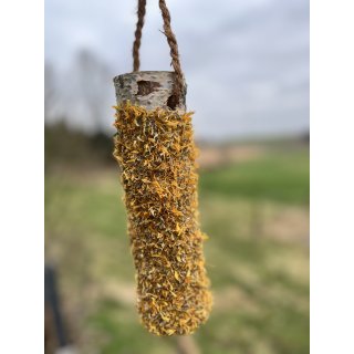 Knabberholz mit Ringelblumenblüten