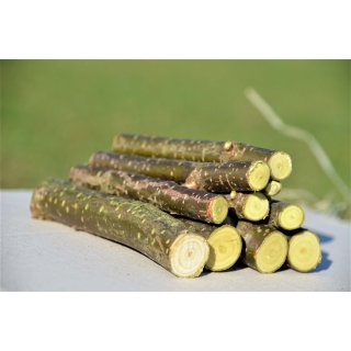 Knabberhölzer aus Haselnuss