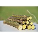 Knabberhölzer aus Haselnuss