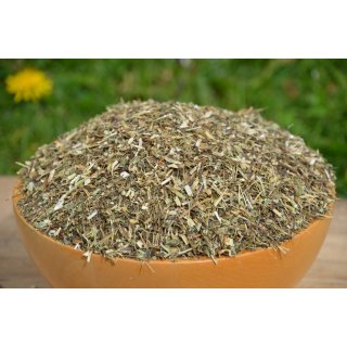 Echinacea geschnitten