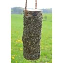 Knabberholz Stoffwechsel-Fit