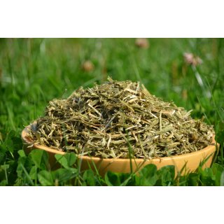 Alfalfa / Luzerne